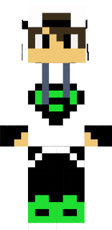 skin1