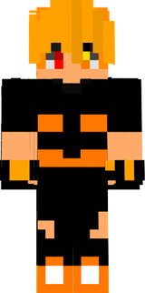 fleguinzpro
