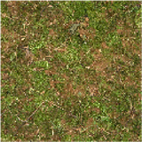 grass_block_top