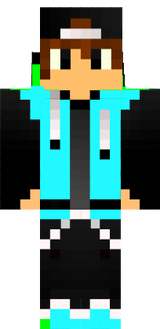 skin