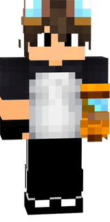 DzSkin