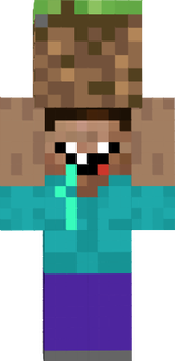 derp steve
