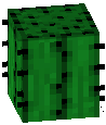 sdasd