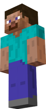 steve