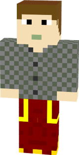 the flash skin