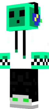 skin minecraft