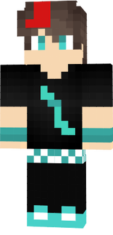 skin 2