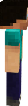steve