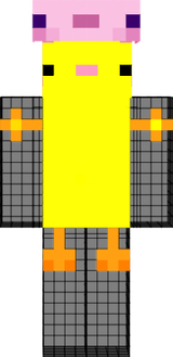 PINTINHO PP