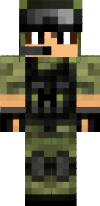 skin minecraft