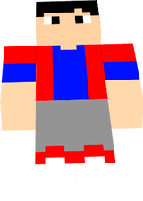skin de minecraft