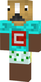 Sr.Cavalo