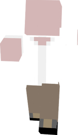 冒険スキン