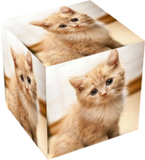 Котик