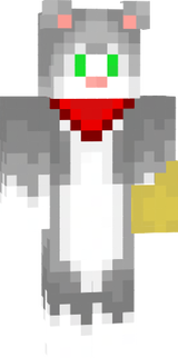 Gato-Minecraft