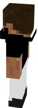 Sleveel
