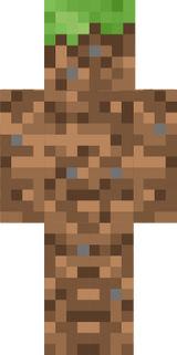 1tomato  skin