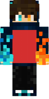 skin de minecraft