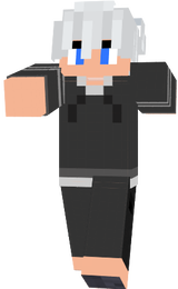 skin minecraft