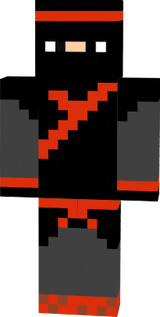 NinjaBugador