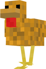 chicken
