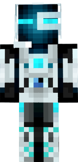 EnderRobot