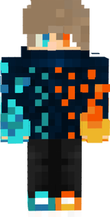 skin