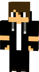 mincraft skin ...