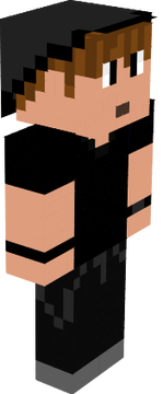 sg333