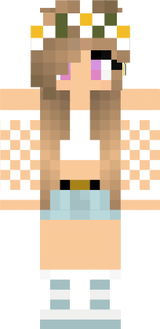 skin minecrft 2