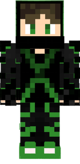 skinn