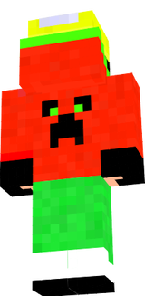 Skin