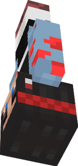 Skinse