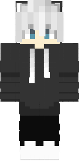 minecraft skin nr4