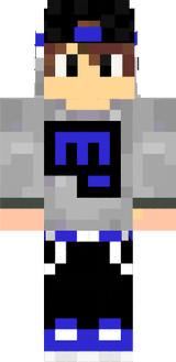 man 4