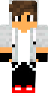 skin 312