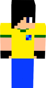 copa 2014