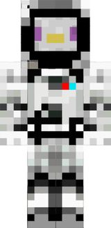 Space penuin