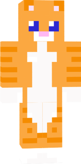 cica41