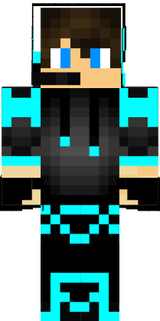 skin