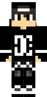 skin minecraft