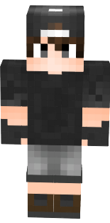 Nova Sikin - Minecraft Wall