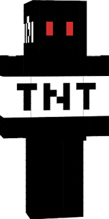 TNTNIJA