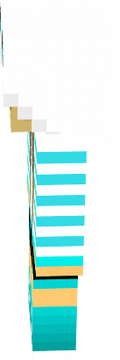 r5er