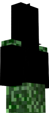 amir