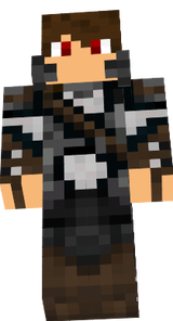 Thedestructor974