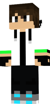 skin