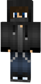 Nikapro2311