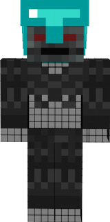 skin 2.0