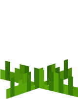 grass